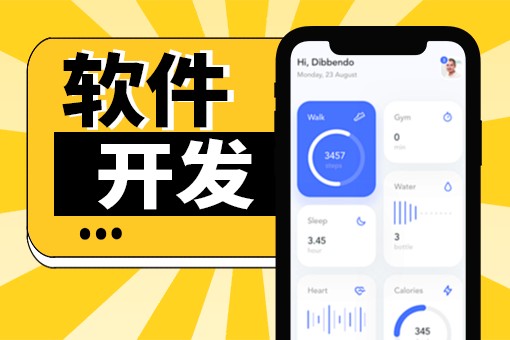教育软件开发
